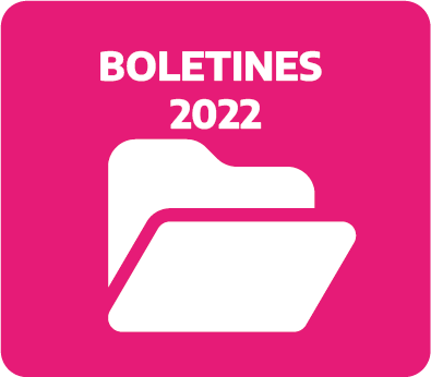 Acceso a Boletines año 2022