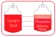 Sangre= plasma, plaquetas, glóbulos rojos